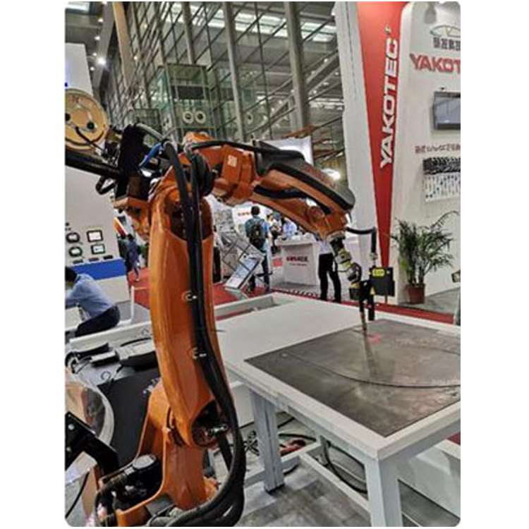 6-Axis Industrial Robotic Arm  - Linear Rail 评论和价格