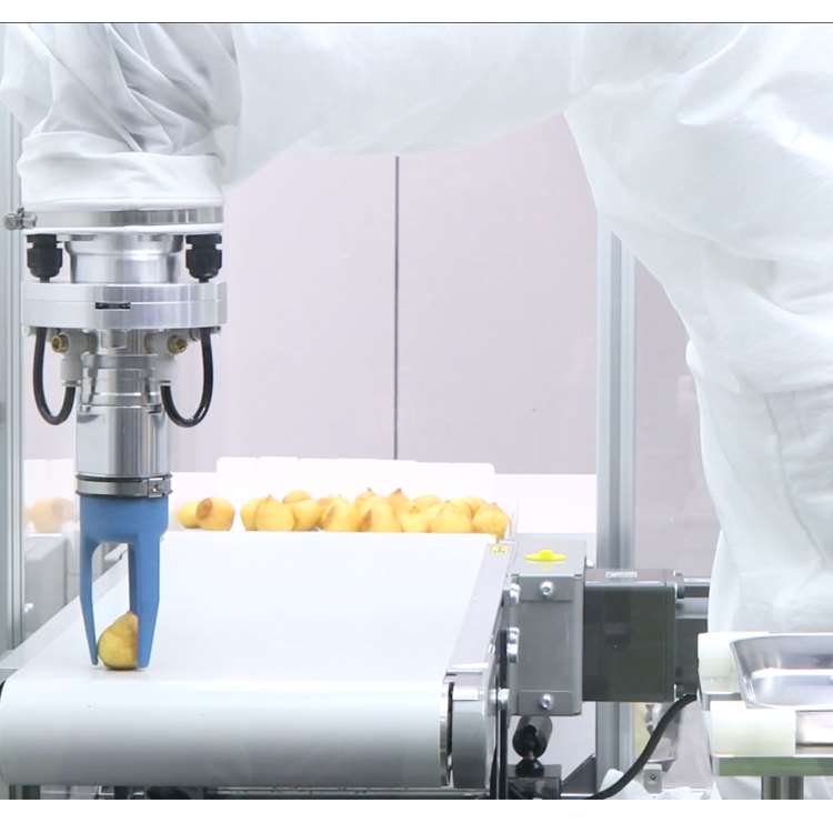 6-Axis CNC Robotic Arm with Li - Linear Rail 评论和价格